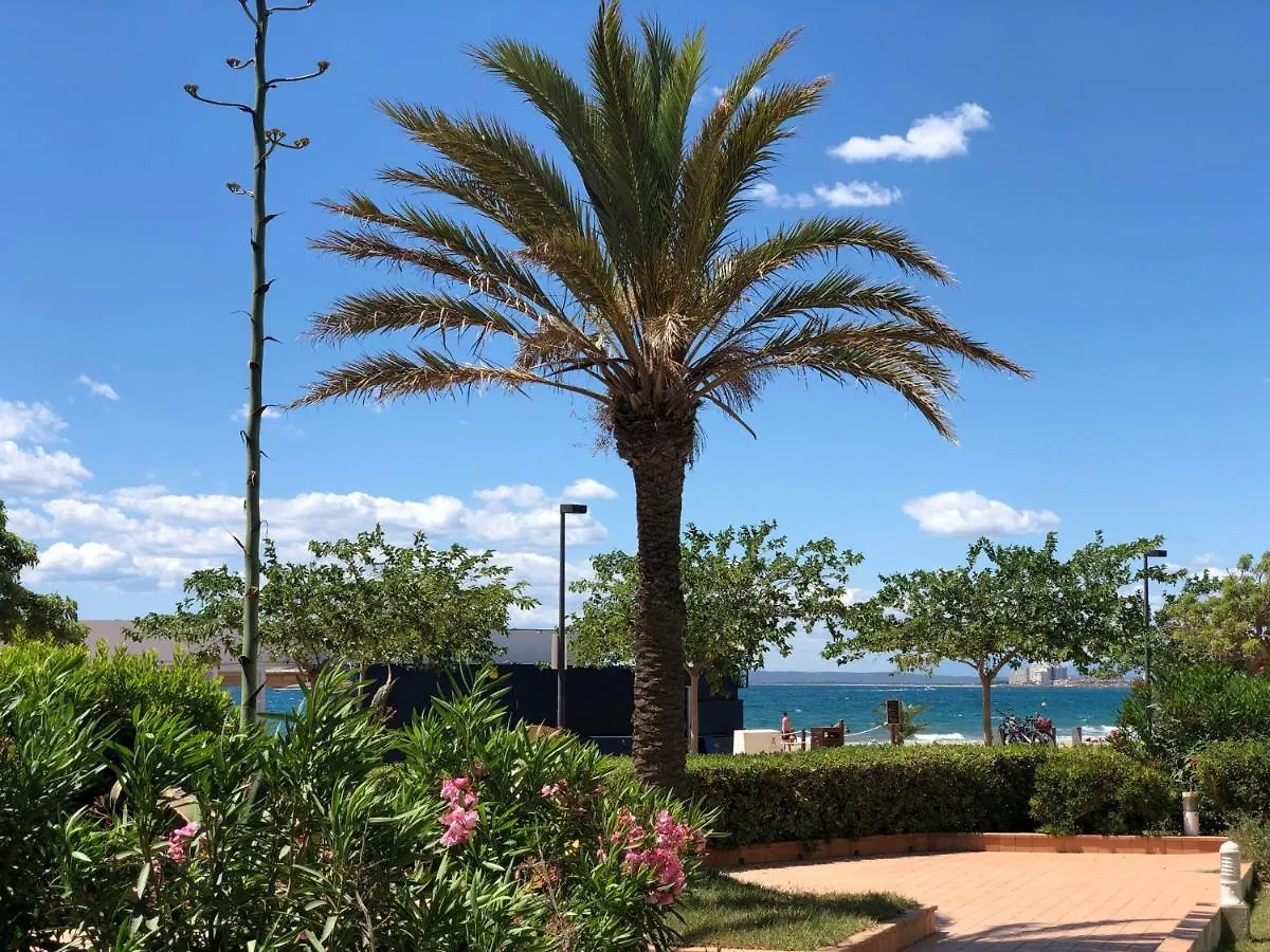 Appartamento Playa De Roses - Apartamento En La Playa De Roses Y Cerca Del Centro 0*,  Spagna